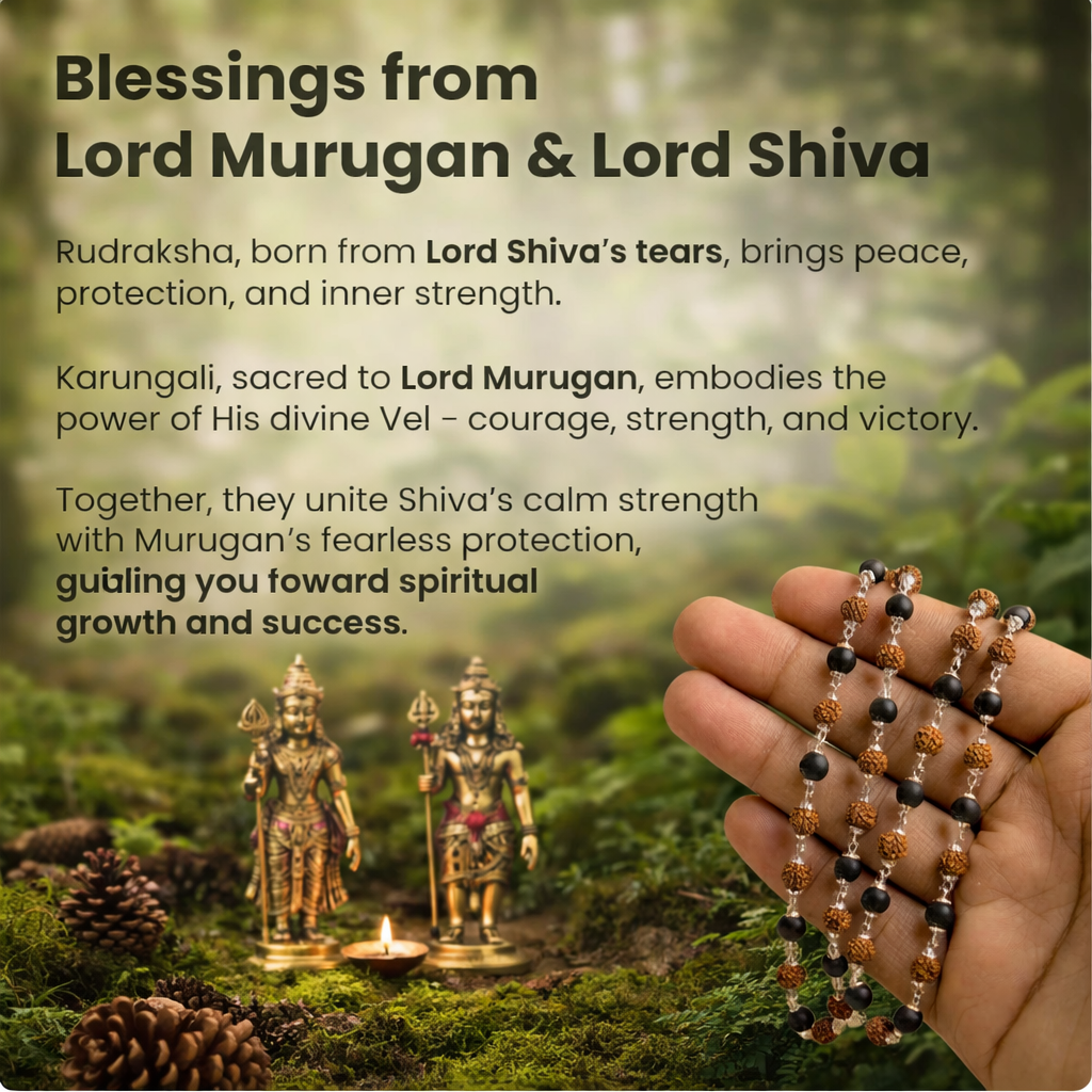 Divya Raksha Mahadev Combo