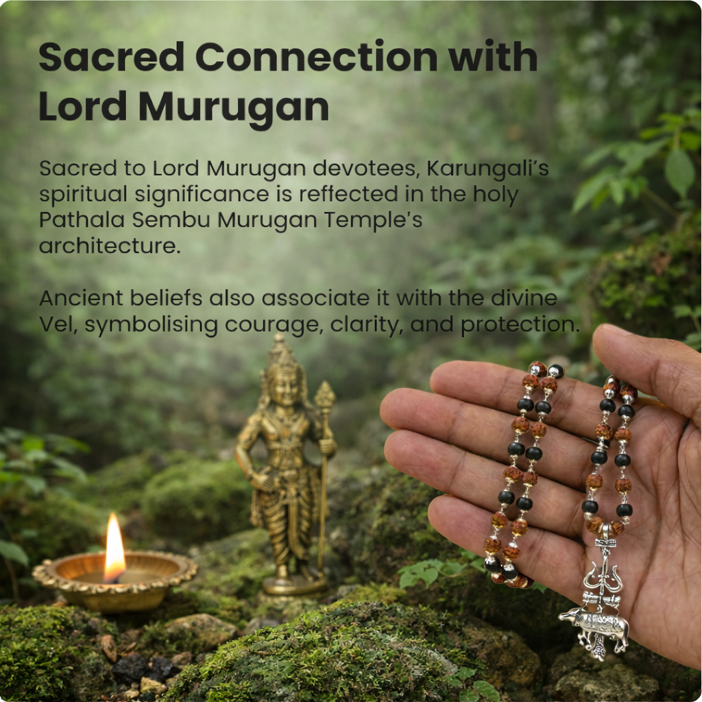 Shiv Raksha Karungali Rudraksha Mala with Trishul Nandi Pendant