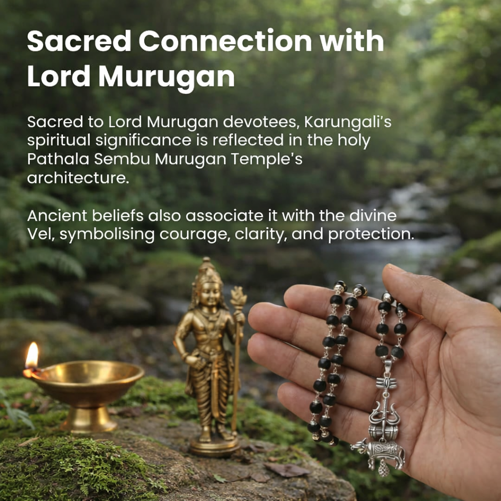 Shiv Raksha Karungali Mala with Trishul Nandi Pendant