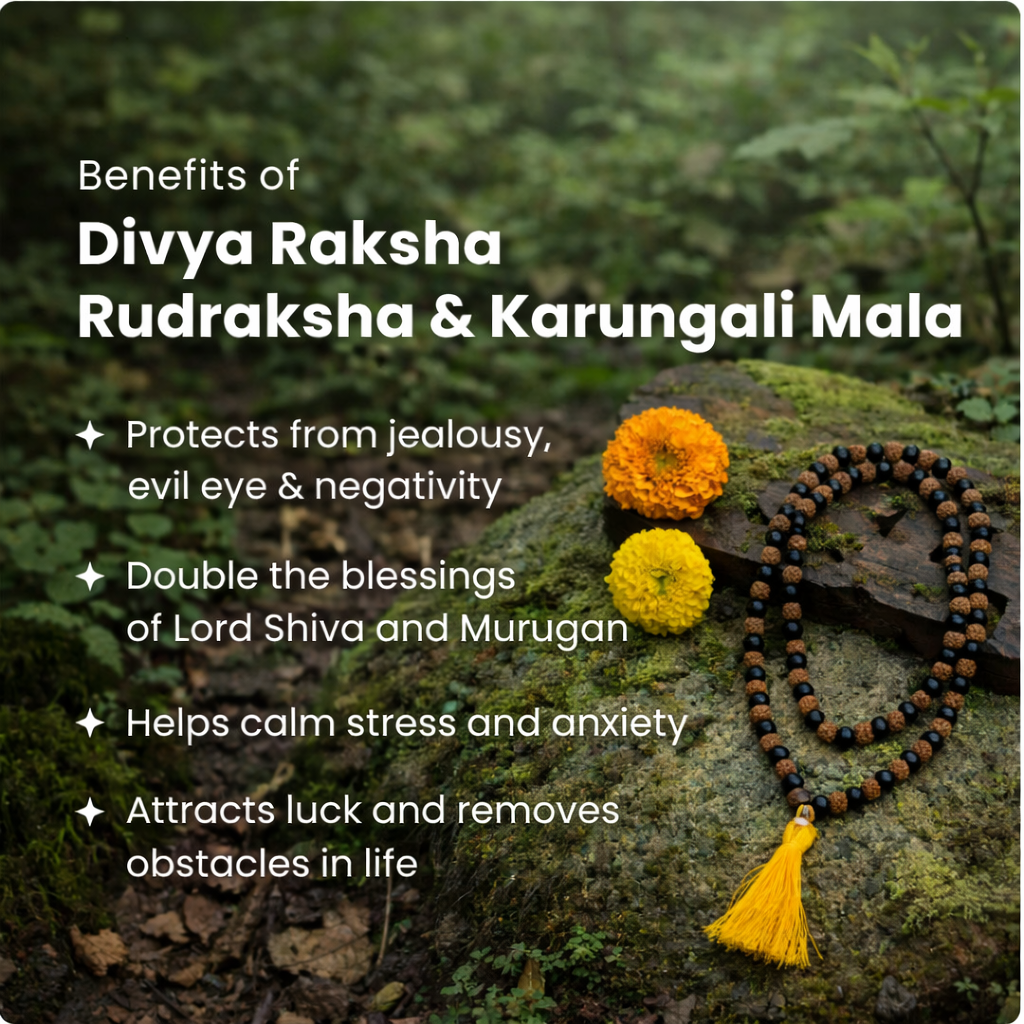 Divya Raksha Rudraksha & Karungali Mala 8mm - 108+1 Beads