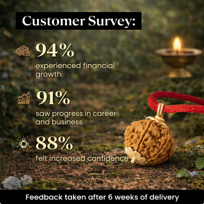 Kashi Siddh Nepal Origin 7 Mukhi Rudraksha - 17mm to 22mm