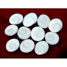 Gomti Chakra