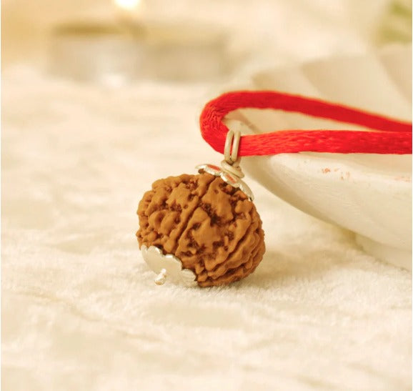 5 Mukhi Rudraksha