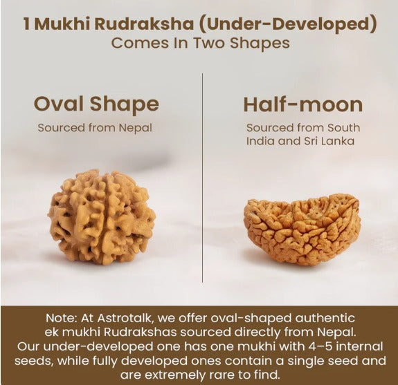 1 Mukhi Rudraksha