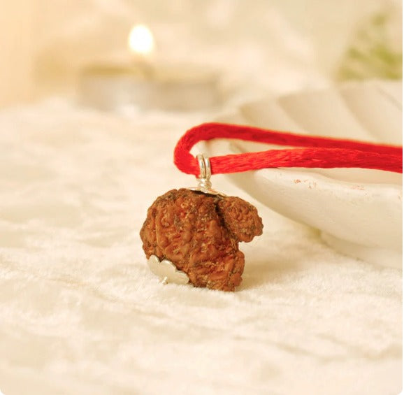 Garbh Gauri Rudraksha