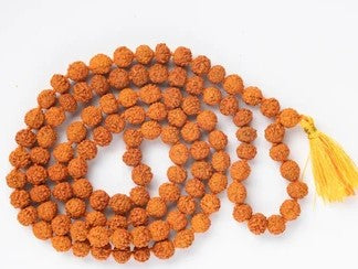 Rudraksha